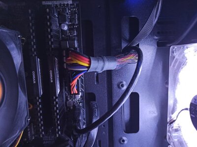 Фото из отзыва пользователя