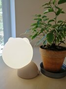 Фото из отзыва пользователя