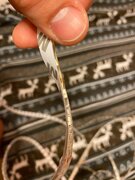 Фото из отзыва пользователя