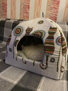 Фото из отзыва пользователя