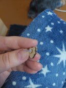 Фото из отзыва пользователя