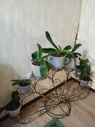 Фото из отзыва пользователя