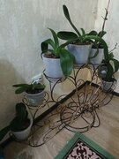 Фото из отзыва пользователя