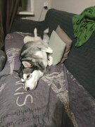 Фото из отзыва пользователя