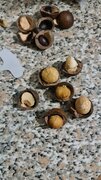 Фото из отзыва пользователя