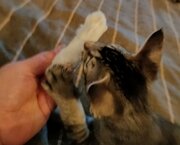 Фото из отзыва пользователя