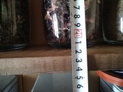 Фото из отзыва пользователя