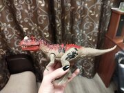 Фото из отзыва пользователя