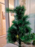 Фото из отзыва пользователя