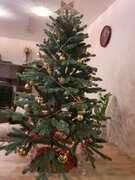 Фото из отзыва пользователя