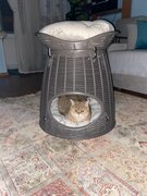 Фото из отзыва пользователя