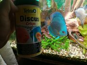 Фото из отзыва пользователя