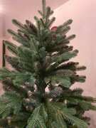 Фото из отзыва пользователя