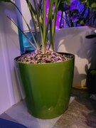 Фото из отзыва пользователя