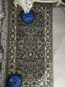 Фото из отзыва пользователя