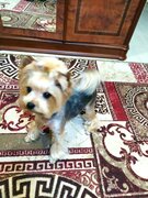 Фото из отзыва пользователя