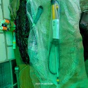 Фото из отзыва пользователя