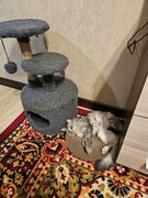Фото из отзыва пользователя