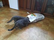 Фото из отзыва пользователя