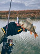 Фото из отзыва пользователя