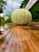 Фото из отзыва пользователя