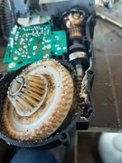 Фото из отзыва пользователя