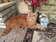 Фото из отзыва пользователя