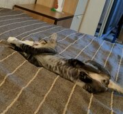 Фото из отзыва пользователя