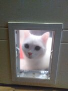 Фото из отзыва пользователя