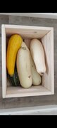 Фото из отзыва пользователя