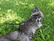 Фото из отзыва пользователя