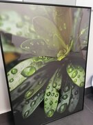 Фото из отзыва пользователя