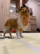Фото из отзыва пользователя