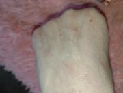 Фото из отзыва пользователя