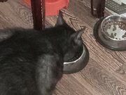 Фото из отзыва пользователя