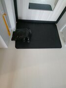 Фото из отзыва пользователя