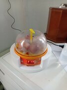 Фото из отзыва пользователя