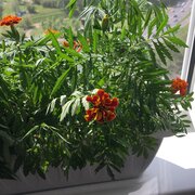 Фото из отзыва пользователя