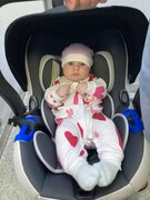 Фото из отзыва пользователя