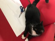 Фото из отзыва пользователя