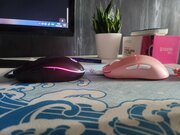 Фото из отзыва пользователя