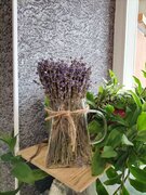 Фото из отзыва пользователя