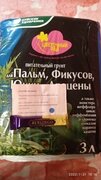 Фото из отзыва пользователя