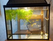 Фото из отзыва пользователя