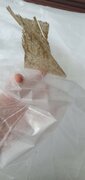 Фото из отзыва пользователя