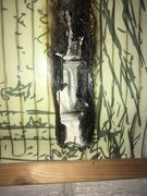 Фото из отзыва пользователя