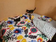 Фото из отзыва пользователя