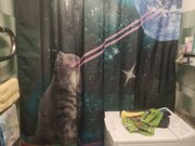 Фото из отзыва пользователя