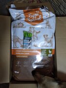 Фото из отзыва пользователя