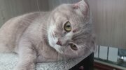 Фото из отзыва пользователя